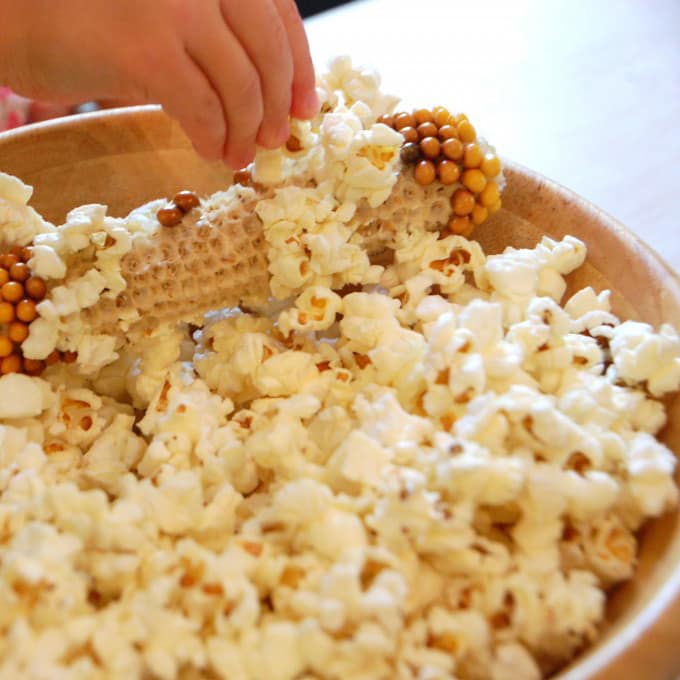 Microwave Popcorn on the Cob Amish Country Popcorn
